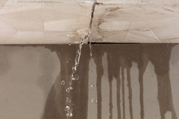 Professional Structural Drying technician working in New Castle, CO